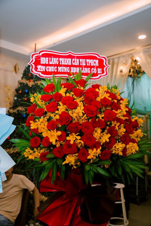 Ảnh liên quan