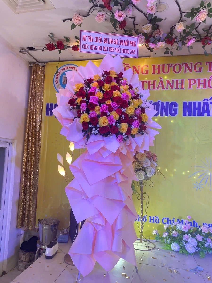 Ảnh liên quan