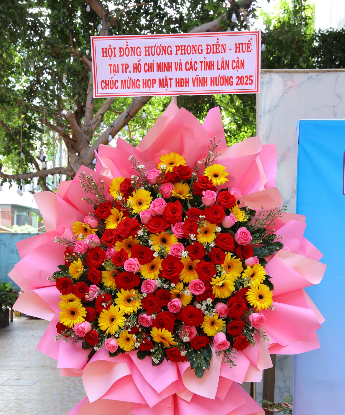Ảnh liên quan