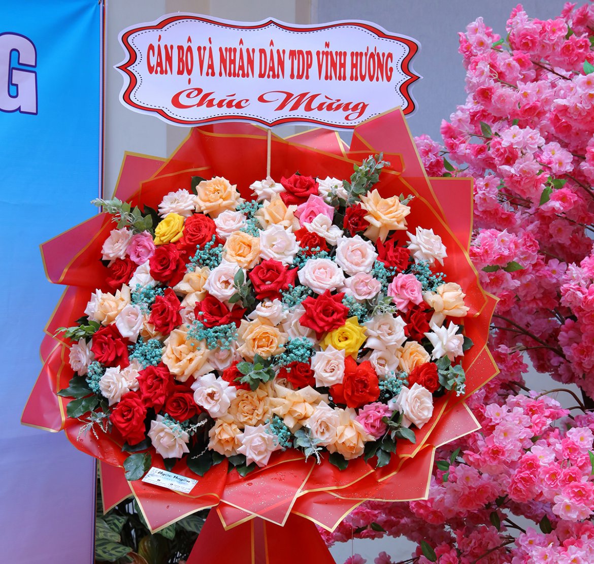 Ảnh liên quan