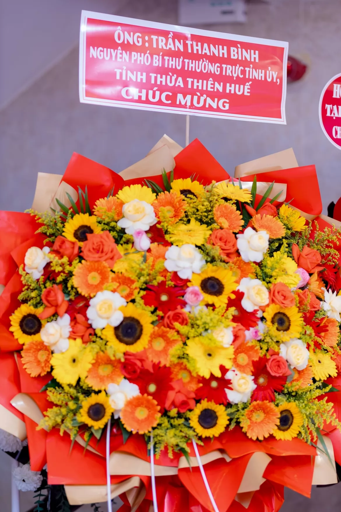 Ảnh liên quan