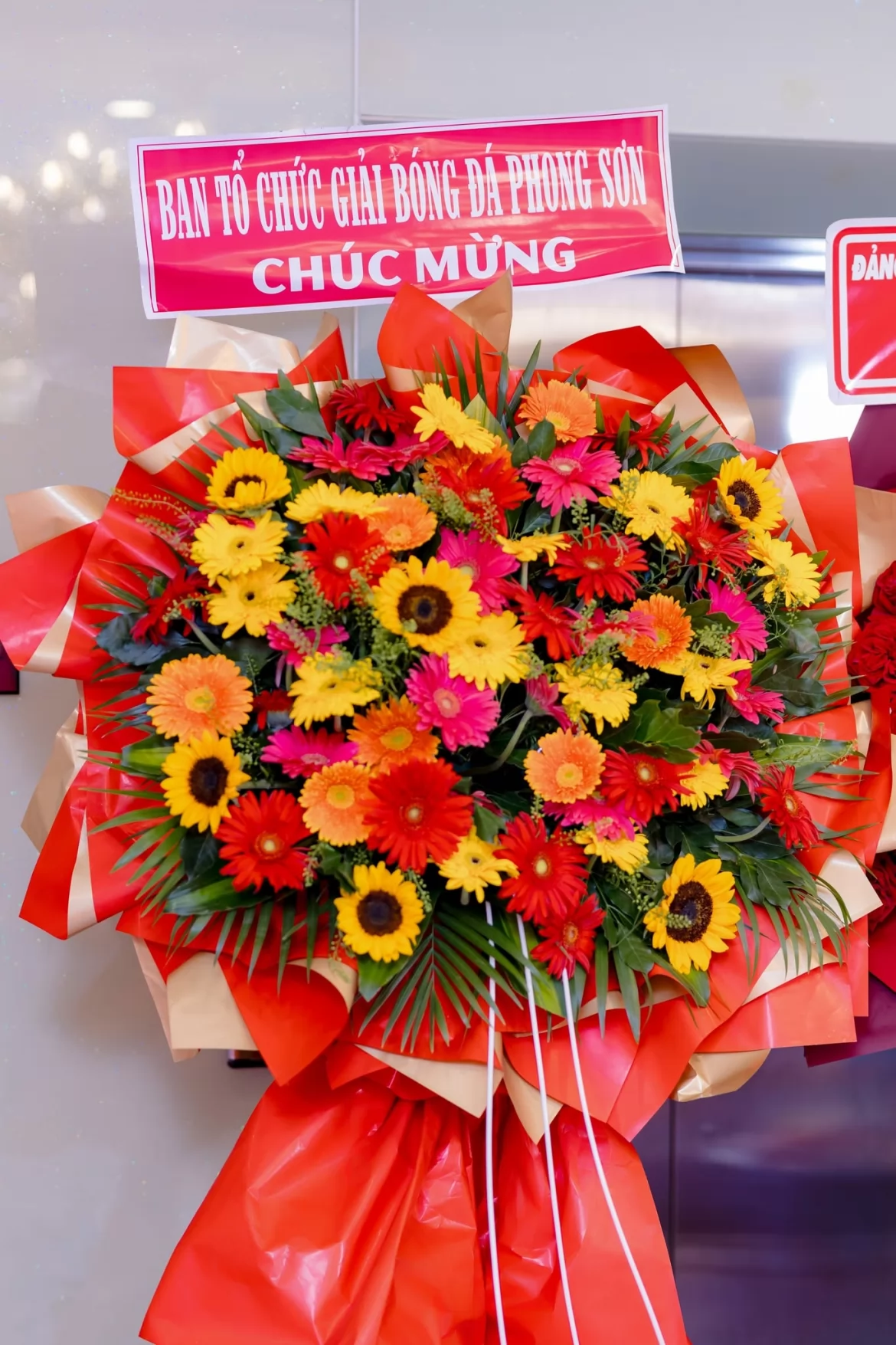 Ảnh liên quan