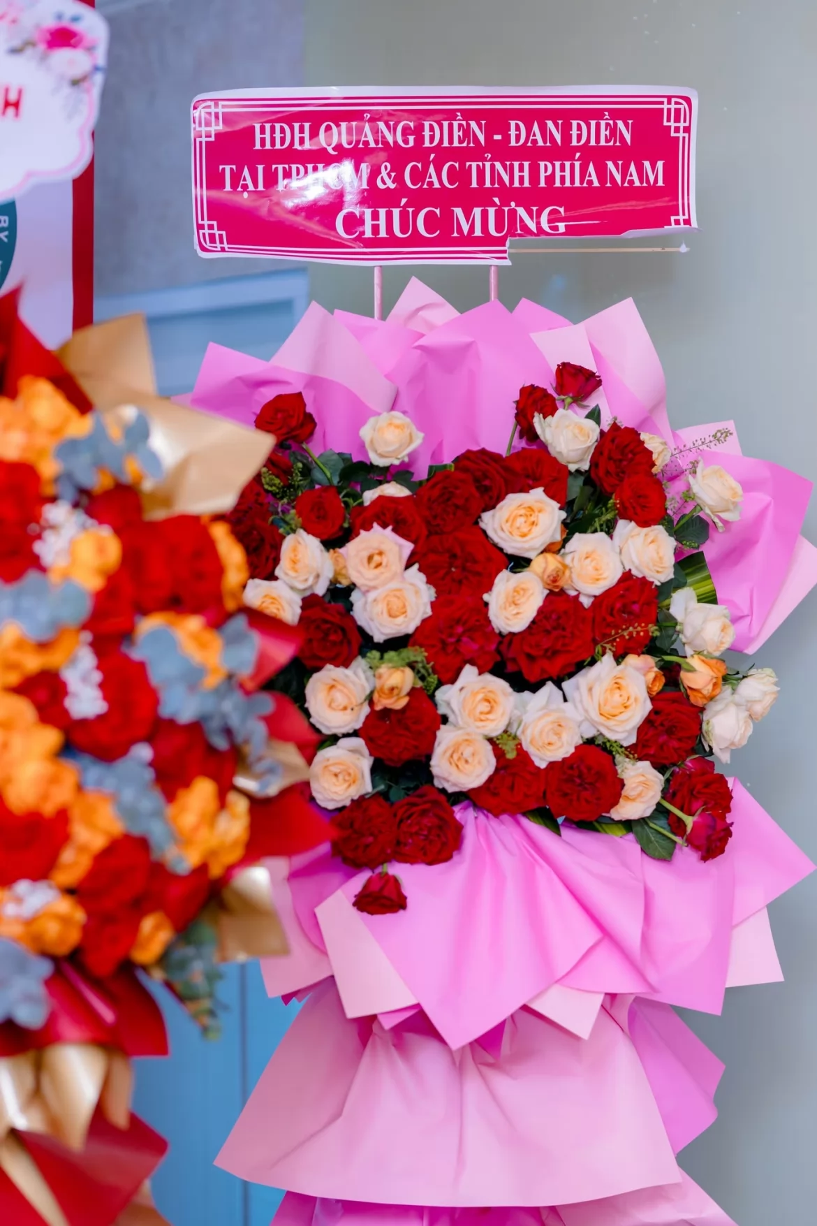 Ảnh liên quan