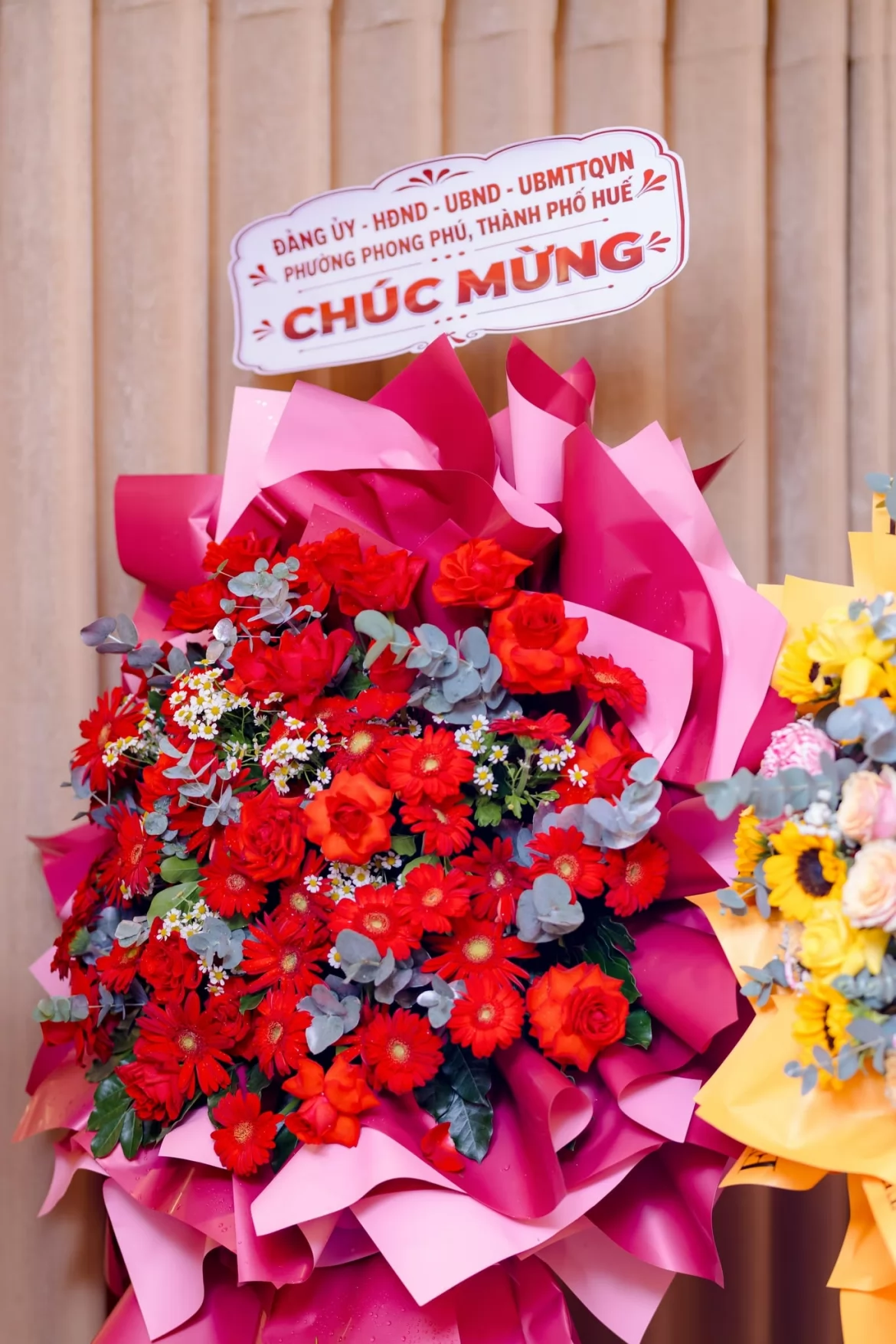 Ảnh liên quan