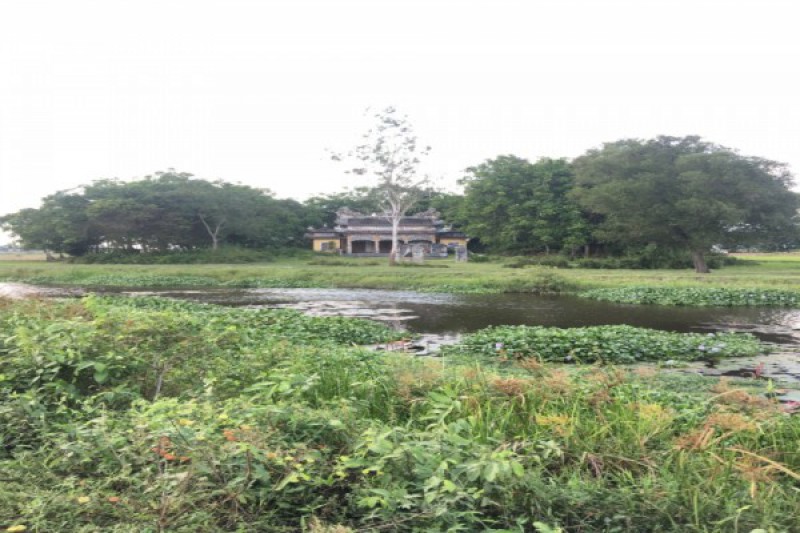 Ảnh liên quan