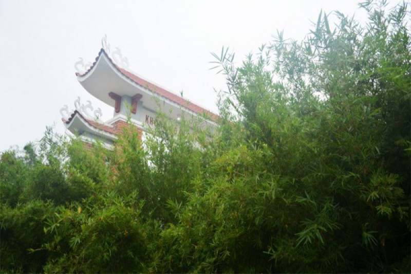 Ảnh liên quan