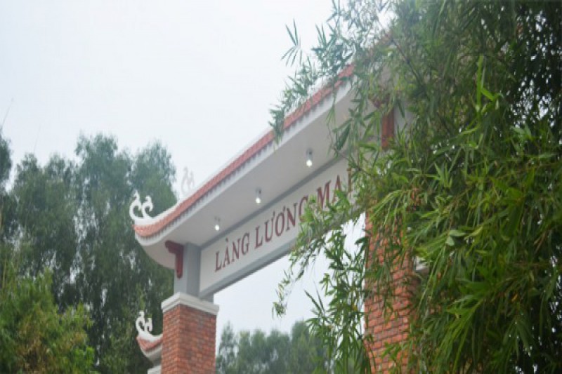 Ảnh liên quan