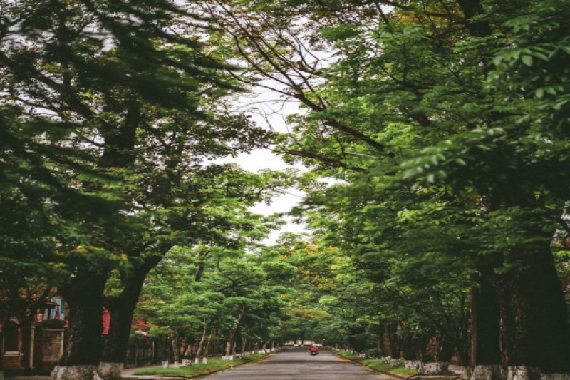 Ảnh liên quan