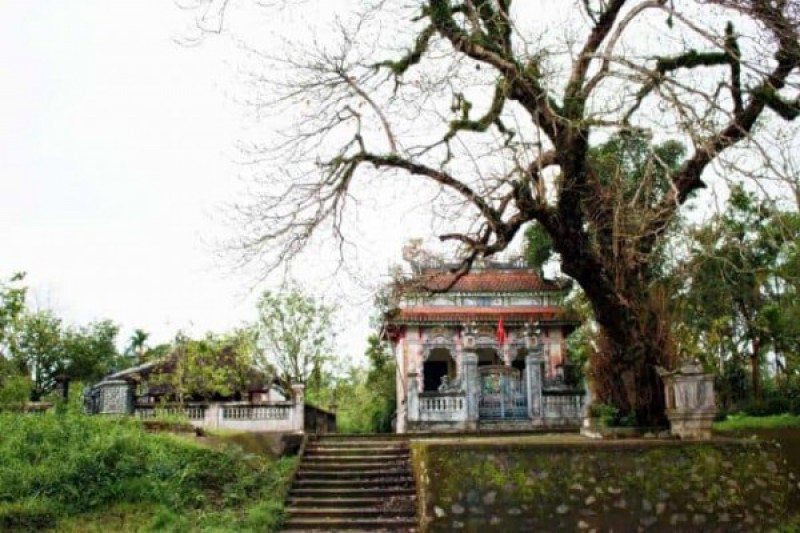 Ảnh liên quan