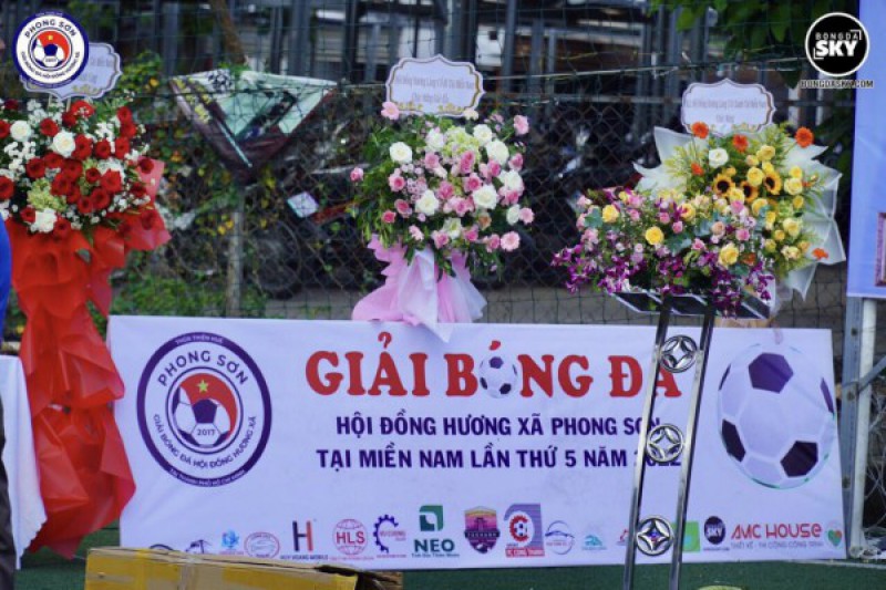 Ảnh liên quan