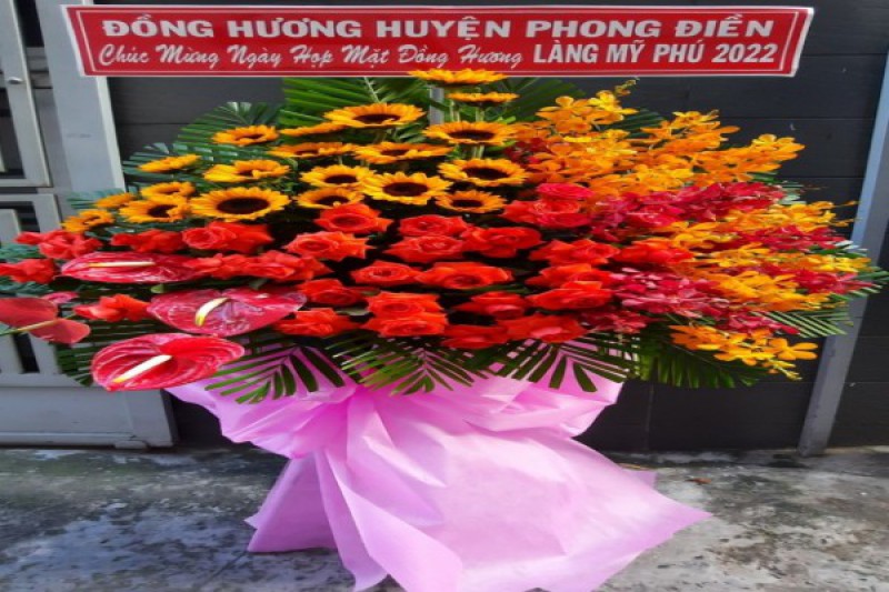 Ảnh liên quan