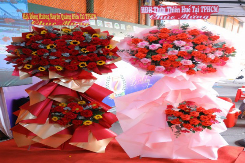 Ảnh liên quan