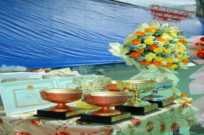 Ảnh liên quan