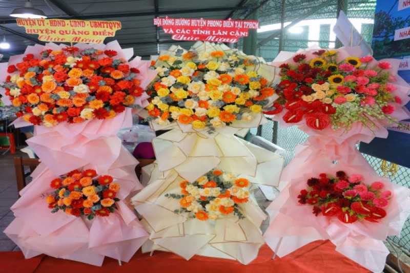 Ảnh liên quan