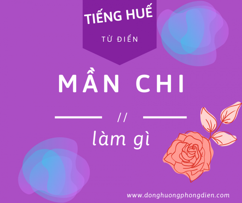 Ảnh liên quan