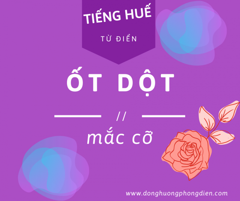 Ảnh liên quan