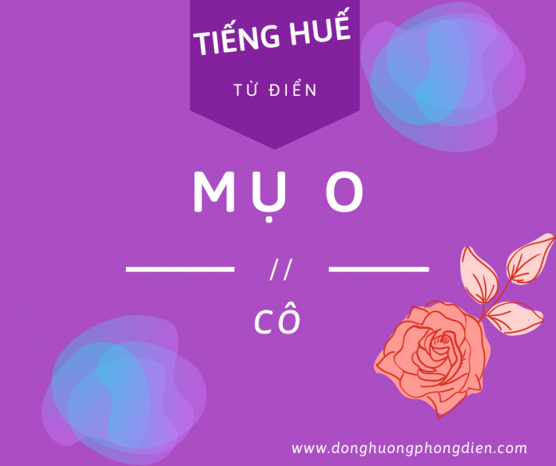Ảnh liên quan