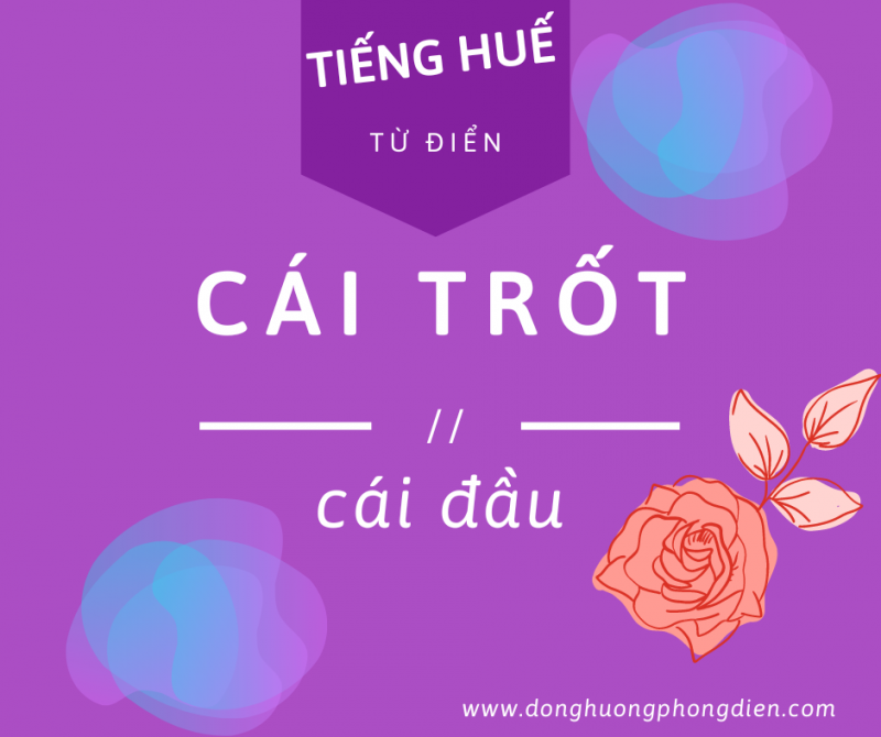 Ảnh liên quan