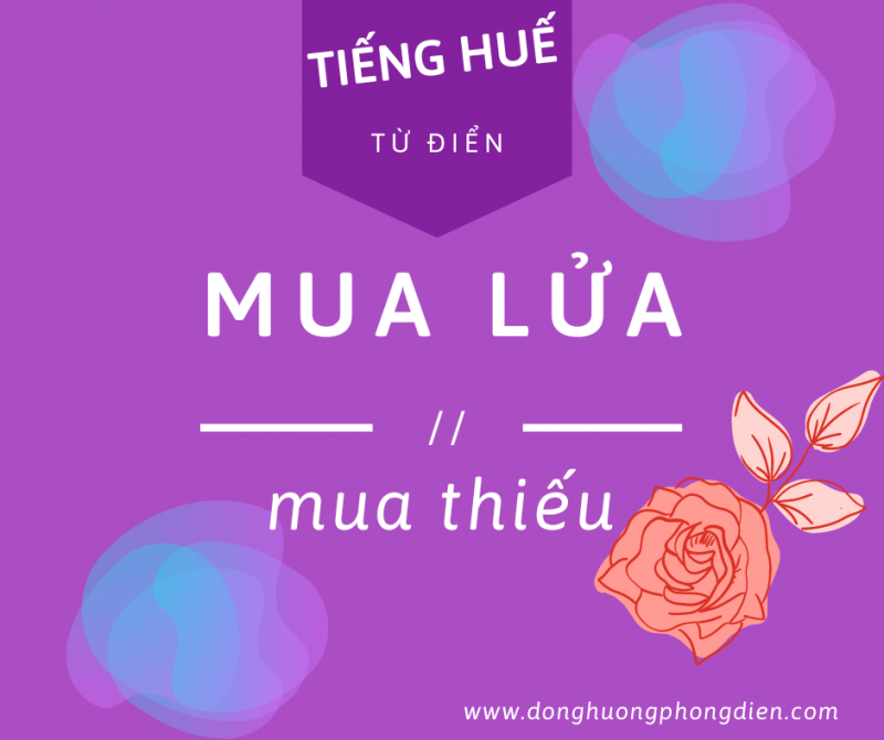 Ảnh liên quan