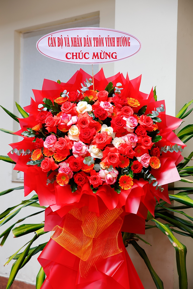 Ảnh liên quan
