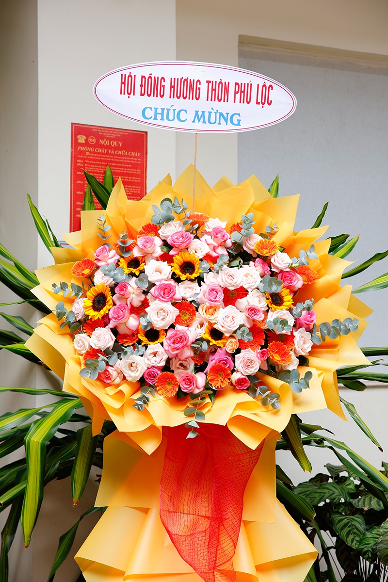Ảnh liên quan